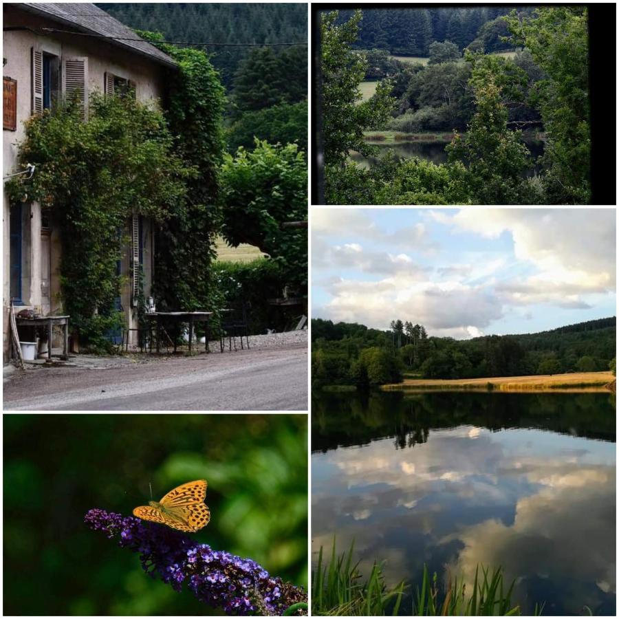 Chambres D'Hotes A L'Etang D'Yonne Arleuf Εξωτερικό φωτογραφία